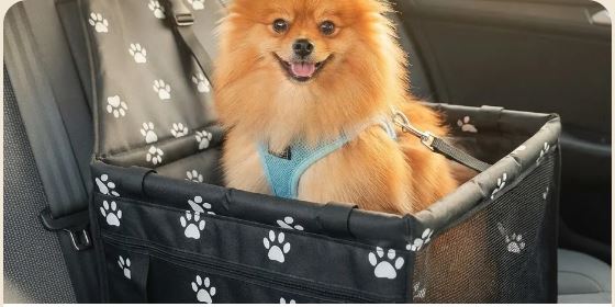 Cane comodo e sereno nel seggiolino auto FidoFresco